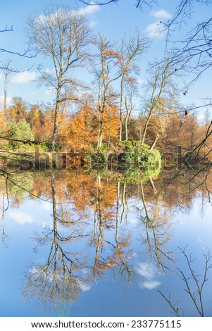 Trees in fall colors with symmetric mirror image in water of pond