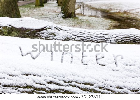 Word winter written in snow on oak tree trunk in landscape
