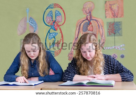 Two caucasian teenage girls reading text books with biology wall chart of human body
