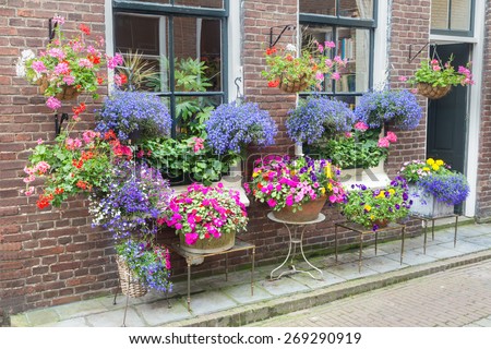 Many flowering pottery plants hanging at facade of house in street. The various colorful flowers are outstanding. in the wall there are some windows and a door.