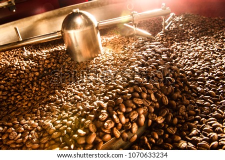 Roasting Plant. Fresh Roasted Coffee. Stainless drum. Industrial electric cooling tray.
