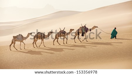 Camels caravan in Sahara desert
