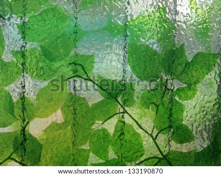 glass plate/glass plate and leaf graphic.