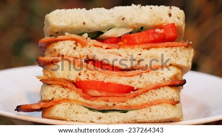 sandwich/slide bread of bacon sandwich.