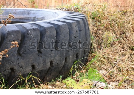 Old big tipper tire on the meadow