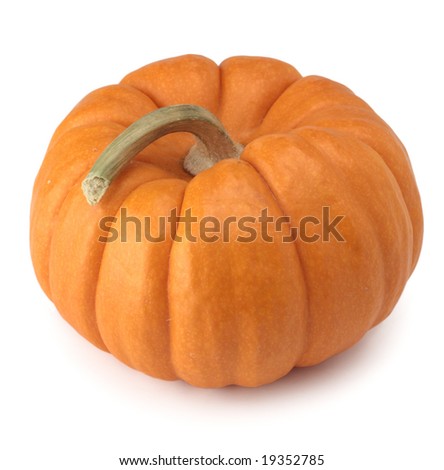 pumpkin orange halloween thanksgiving fall harvest isolated