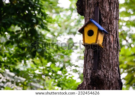 Colorful birdhouse on the tree.
