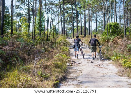 Cyclists go with bikes on a gravel road in the middle of a pine forest.