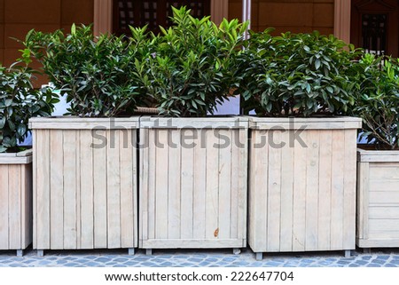 terrace plants fence in cafe