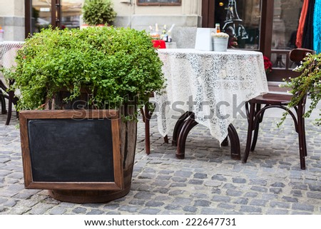 cafe terrace plant decor