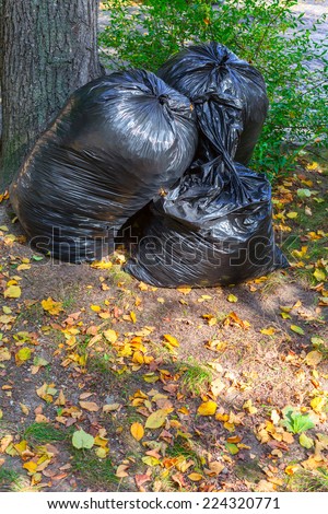 garbage bags with leaves