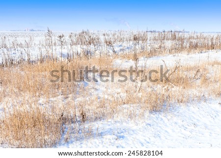 Snow field landscape view to city