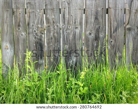 Old fence and grass