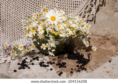 still life bouquet with chamomiles