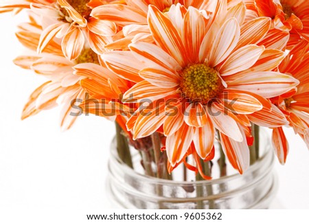 Orange and white flowers in a mason jar