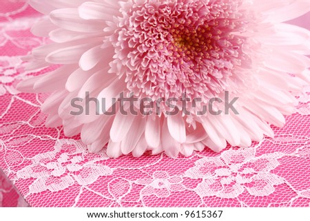 pink flower on a pink lace covered wine/gift bag