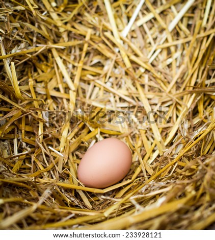 Chicken Egg In Straw Nest Box