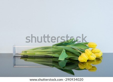 tulips in a vase laying on side