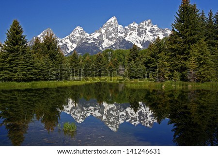 Beaver pond reflection of the Teton Mountains