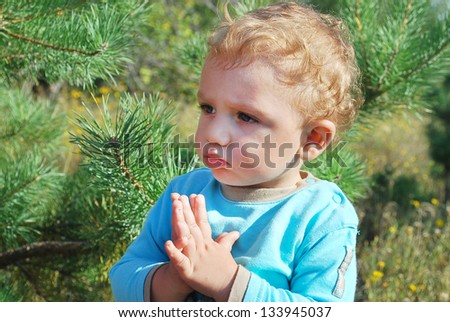 In the summer, bright sunny day, a little boy lost in thought is in pine forest near the arms close to his chest