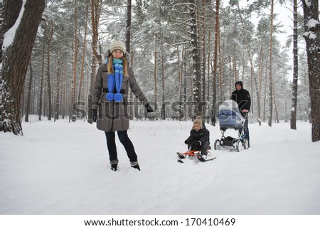 Family on a walk in a winter snow-covered lesu.Mama lucky son sledging father carries the stroller.