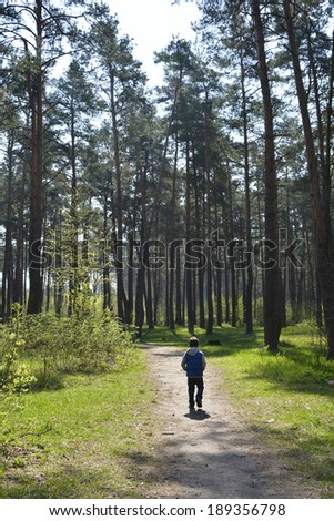 Spring  little boy walking along the road in the pine forest