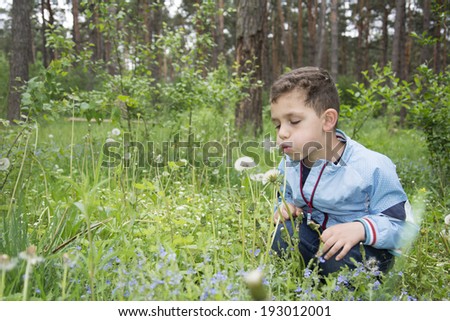 Funny little curly girl sitting on the meadow with flowers.