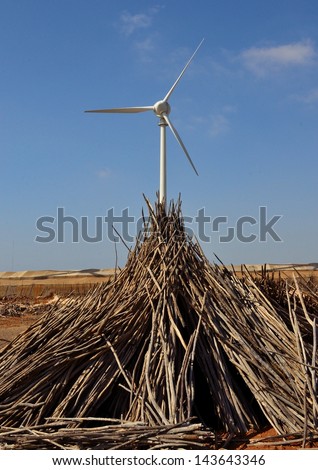 Structure of dry sticks used for traditional agriculture in foreground and modern wind turbine with blue sky in background, Canary islands