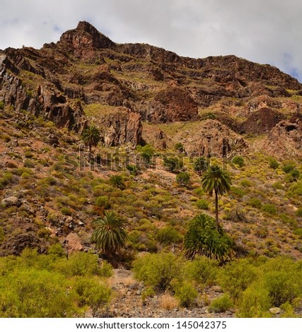 Imposing rocky mountain with palm trees and native bushes in the interior of Tirajana ravine, Gran Canaria, Canary islands