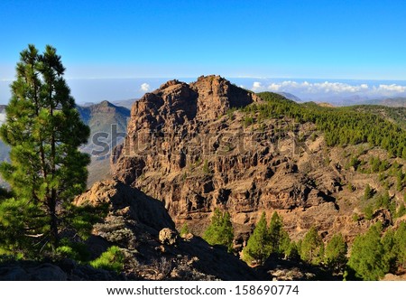 Rocky landscape in the interior of Gran canaria with canarian pine trees, cliffs and bright blue sky background, Canary islands