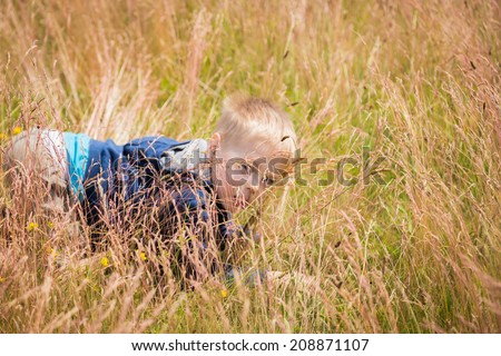 Little boy in a field of tall grass. Kid playing, running in nature. A child plays, field, grass, happiness, childhood. - The idea of a carefree childhood. Article about children games.