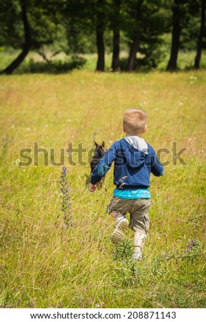 Little boy in a field of tall grass. Kid playing, running in nature. A child plays, field, grass, happiness, childhood. - The idea of  carefree childhood. Article about children games.