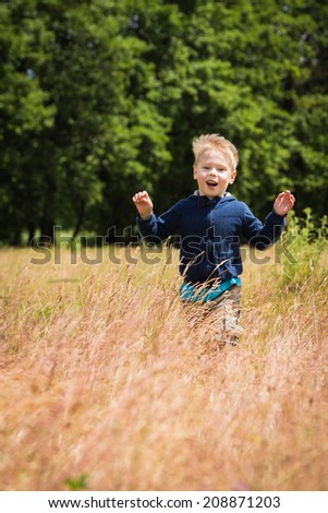 Little boy in a field of tall grass. Kid playing, running in nature. A child plays, field, grass, happiness, childhood. - The idea of  a carefree childhood. Article about children games.