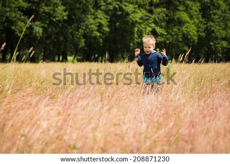 Little boy in a field of tall grass. Kid playing, running in nature. A child plays, field, grass, happiness, childhood. - The idea of ??a carefree childhood. Article about children games.