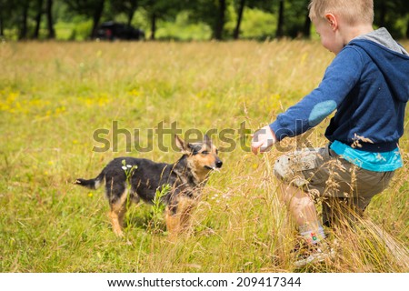 Little boy in a field of tall grass. Kid playing, running in nature. A child plays, field, grass, happiness, childhood. - The idea of a carefree childhood. Article about children games.