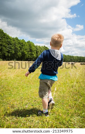 Little boy in a field.. Kid playing, running in nature. A child plays, field, grass, happiness, childhood. - The idea of a carefree childhood. Article about children games.