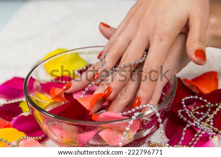 Beautiful hands with a nice manicure. Gel nails are covered with red polish. Spa treatment for hands. Spa treatment, bath for hands. Hands on a background of rose petals in spa salon.