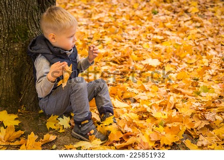 Happy little boy playing with autumn leaves in the woods.Little boy screaming while holding leaves in the park. Little boy siting on the yellow leaves in the autumn park