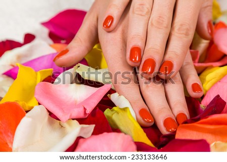 Manicure - Beautiful manicured woman\'s hands with red nail polish on rose petals.Beautiful hands with a nice manicure. Gel nails are covered with red polish. Spa treatment for hands.