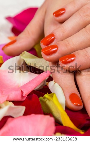 Manicure - Beautiful manicured woman's hands with red nail polish on rose petals.Beautiful hands with a nice manicure. Gel nails are covered with red polish. Spa treatment for hands.