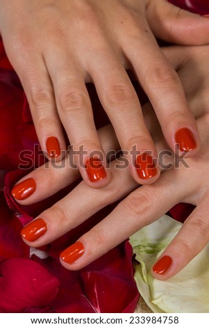 Manicure - Beautiful manicured woman\'s hands with red nail polish. Beautiful female finger nails with red nail closeup on petals. Perfect manicure