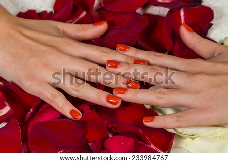 Manicure - Beautiful manicured woman\'s hands with red nail polish. Beautiful female finger nails with red nail closeup on petals. Perfect manicure