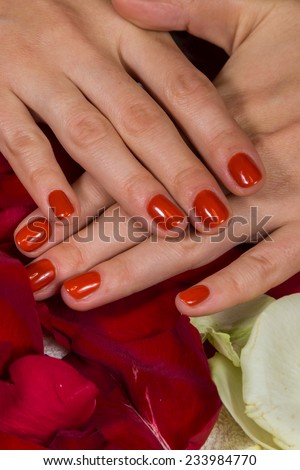 Manicure - Beautiful manicured woman's hands with red nail polish. Beautiful female finger nails with red nail closeup on petals. Perfect manicure