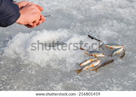 Winter fishing. Ice fishing. Fisherman on ice fishing from the well, a special winter fishing rod. Fishing in winter. Active, cold, fish, winter fishing tackle. Sport winter fishing.