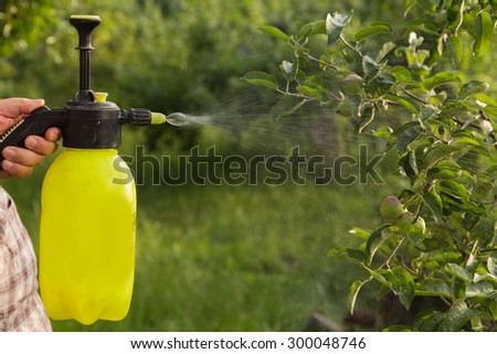 Spraying trees. The gardener takes care of the trees. The concept of gardening and farming.