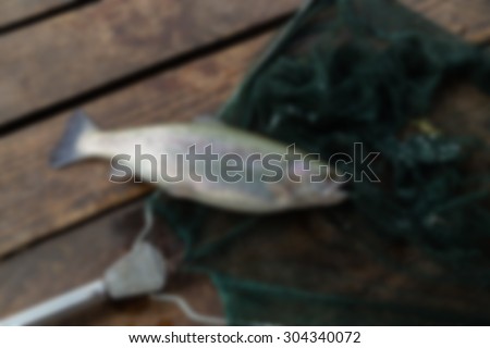 Fish catch trout. Blurring background.