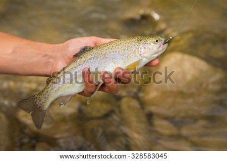 Trout fishing in a mountain river. Sport fishing. An exciting and spectacular fishing. Photo for nature magazines, websites and backgrounds.