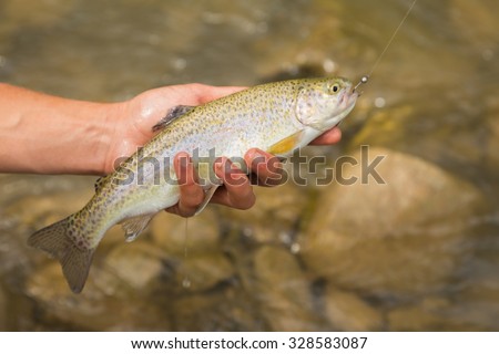 Trout fishing in a mountain river. Sport fishing. An exciting and spectacular fishing. Photo for nature magazines, websites and backgrounds.