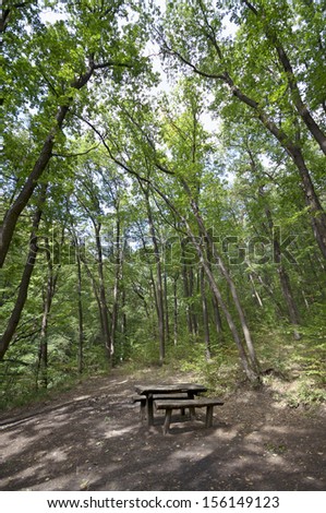 Resting area in the forest with bench and table