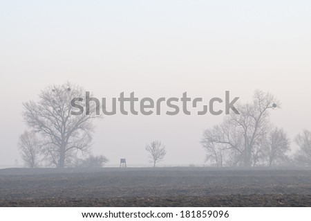 Hunting stands at distance at foggy morning